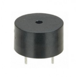 Buzzer