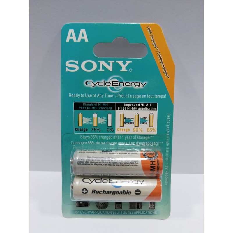 Pile Rechargeable Sony