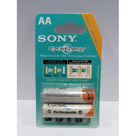 Pile Rechargeable Sony